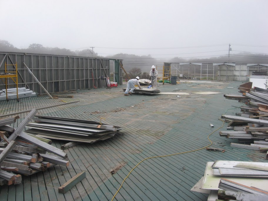 Starting to Pick Up the Piles 9/27/2011 007